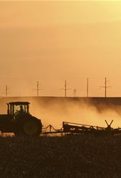 Agricultural Economics Database